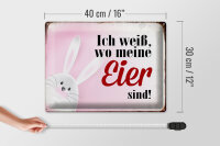 Blechschild Spruch 40x30cm Osterhase weiß wo Eier sind