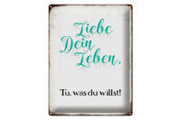 Blechschild Spruch 30x40cm liebe dein Leben tue was willst