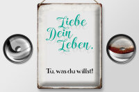Blechschild Spruch 30x40cm liebe dein Leben tue was willst