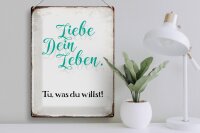 Blechschild Spruch 30x40cm liebe dein Leben tue was willst