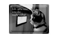 Blechschild Katze 40x30cm ich sehe was du nicht siehst