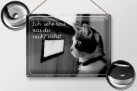 Blechschild Katze 40x30cm ich sehe was du nicht siehst