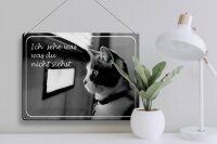 Blechschild Katze 40x30cm ich sehe was du nicht siehst