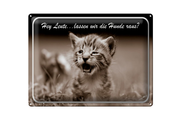 Blechschild Katze 40x30cm Hey lassen wir die Hunde raus
