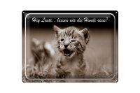 Blechschild Katze 40x30cm Hey lassen wir die Hunde raus