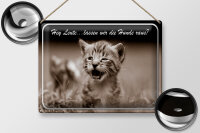 Blechschild Katze 40x30cm Hey lassen wir die Hunde raus