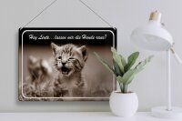 Blechschild Katze 40x30cm Hey lassen wir die Hunde raus