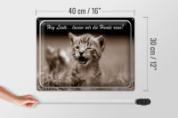 Blechschild Katze 40x30cm Hey lassen wir die Hunde raus