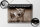 Blechschild Katze 40x30cm Hey lassen wir die Hunde raus