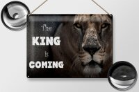 Blechschild Löwe 40x30cm The King is coming
