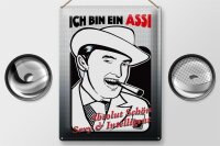 Blechschild Spruch 30x40cm ich bin ASSI schön intelligent