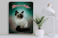 Blechschild Katze 30x40cm Birma Katze 1925 Wanddeko