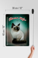 Blechschild Katze 30x40cm Birma Katze 1925 Wanddeko