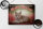 Blechschild Katze 40x30cm Britisch Kurzhaar Großbritannien