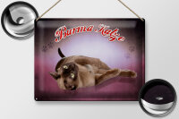 Blechschild Katze 40x30cm Burma Katze
