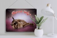 Blechschild Katze 40x30cm Burma Katze