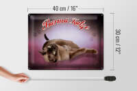Blechschild Katze 40x30cm Burma Katze