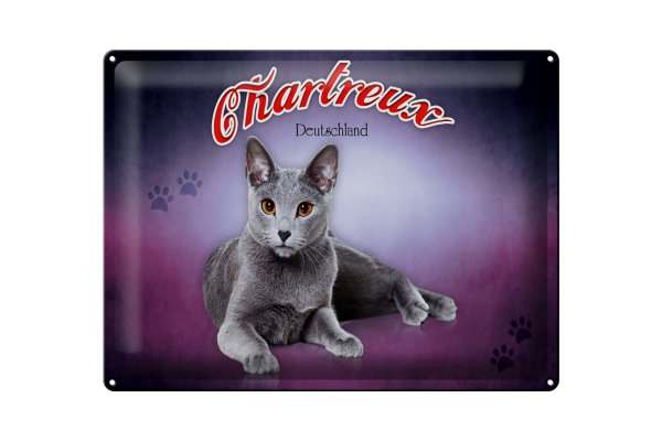Blechschild Katze 40x30cm Chartreux Deutschland