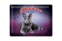 Blechschild Katze 40x30cm Chartreux Deutschland