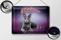 Blechschild Katze 40x30cm Chartreux Deutschland