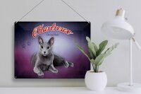Blechschild Katze 40x30cm Chartreux Deutschland