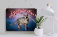 Blechschild Katze 40x30cm Ägyptische Mau Schweiz 1988
