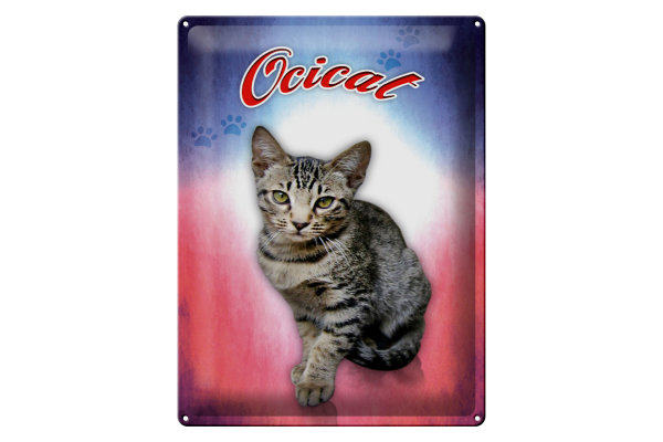 Blechschild Katze 40x30cm Ocicat Wanddeko