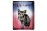Blechschild Katze 40x30cm Ocicat Wanddeko