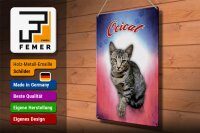 Blechschild Katze 40x30cm Ocicat Wanddeko