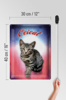Blechschild Katze 40x30cm Ocicat Wanddeko