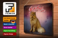 Blechschild Katze 40x30cm Perserkatze England Wanddeko