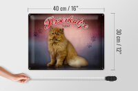 Blechschild Katze 40x30cm Perserkatze England Wanddeko