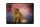 Blechschild Katze 40x30cm Perserkatze England Wanddeko