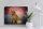 Blechschild Katze 40x30cm Perserkatze England Wanddeko