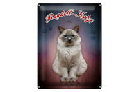 Blechschild Katze 40x30cm Ragdoll Katze 1960 Wanddeko