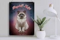 Blechschild Katze 40x30cm Ragdoll Katze 1960 Wanddeko