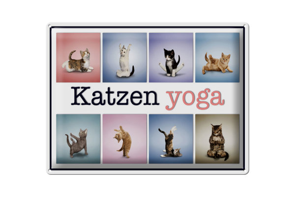 Blechschild Katze 40x30cm Katzen Yoga Wanddeko bunt