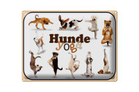 Blechschild Hund 40x30cm Hunde Yoga Wanddeko