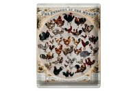 Blechschild Geflügelart 30x40cm the poultry of the...