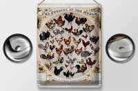 Blechschild Geflügelart 30x40cm the poultry of the...
