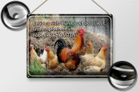 Blechschild Spruch 40x30cm es gibt so viele Hühner und
