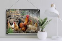 Blechschild Spruch 40x30cm es gibt so viele Hühner und