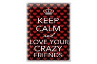 Blechschild Spruch 30x40cm Keep Calm and love crazy friends