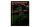 Blechschild Retro 30x40cm Princeton Baseball