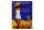 Blechschild Spruch 30x40cm Urlaub Nordseebad Norderney