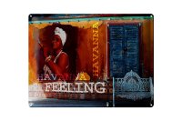 Blechschild Spruch 40x30cm Havanna Feeling Frau mit Zigarre