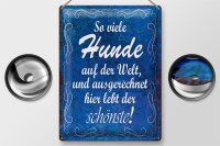Blechschild Spruch 30x40cm so viele Hunde auf der Welt