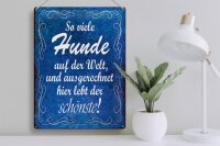 Blechschild Spruch 30x40cm so viele Hunde auf der Welt