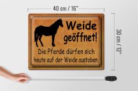 Blechschild Spruch 40x30cm Weide geöffnet Pferde dürfen