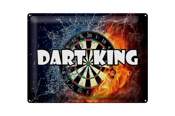 Blechschild Spruch 40x30cm Darts Dart King  Wanddeko